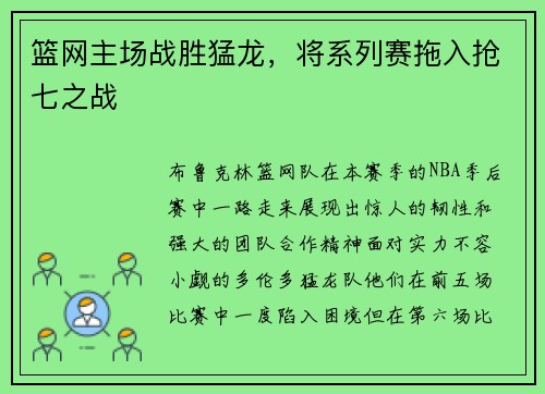 篮网主场战胜猛龙，将系列赛拖入抢七之战